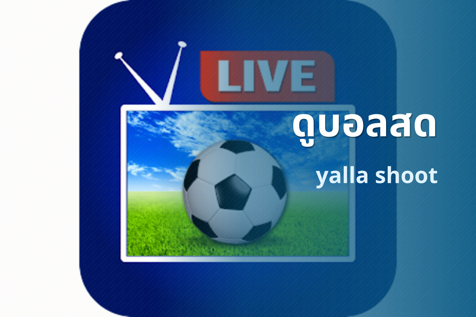 ดูบอลสด yalla shoot