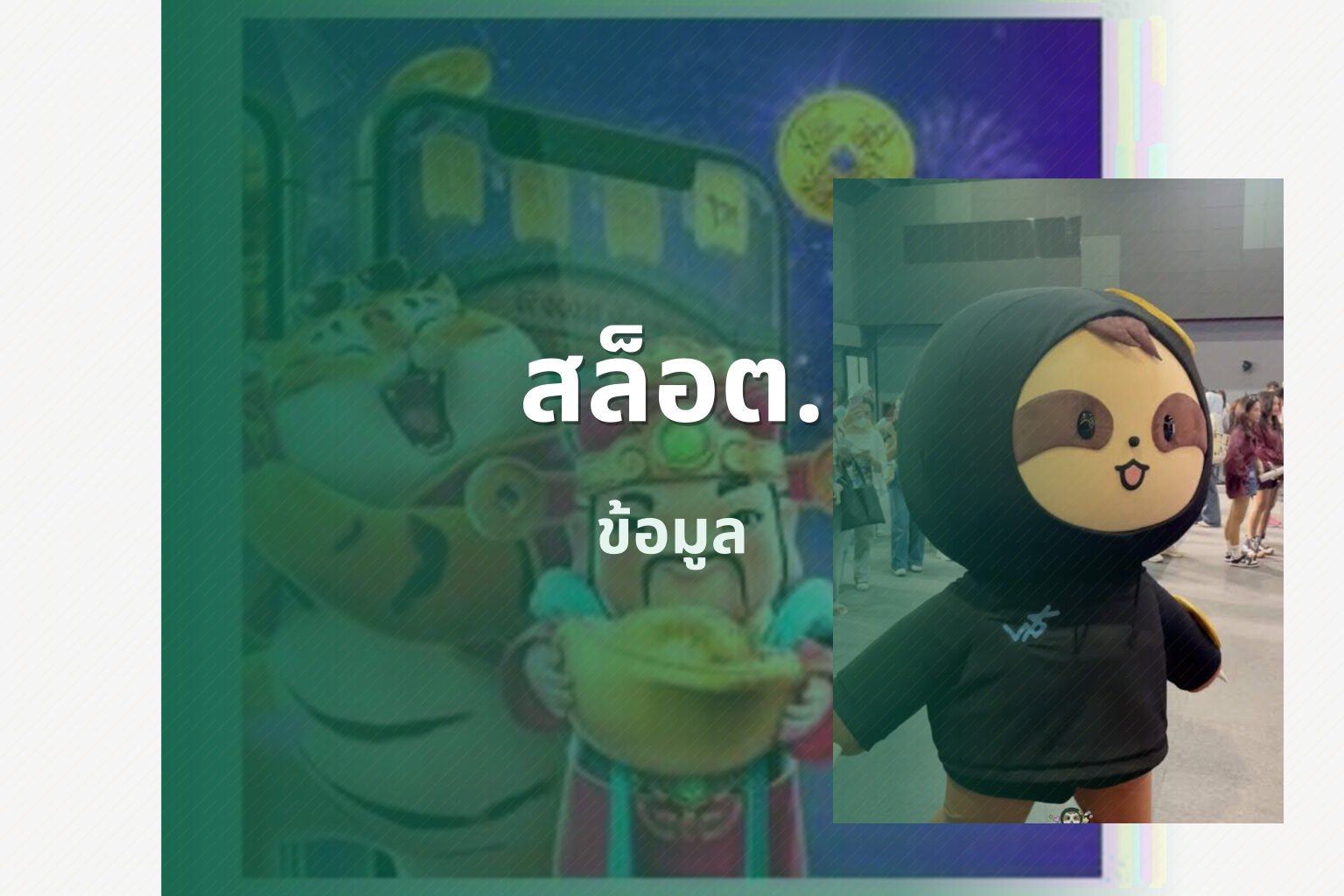 สล็อต. ข้อมูล