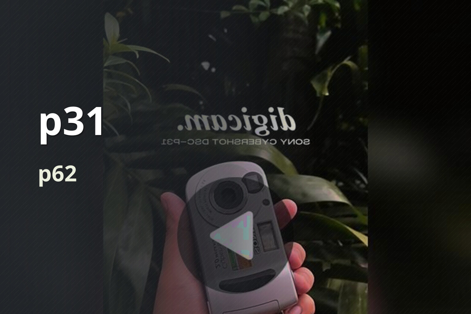 p31 p62