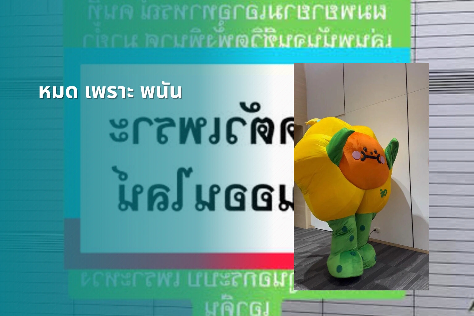 หมด เพราะ พนัน - การพนัน