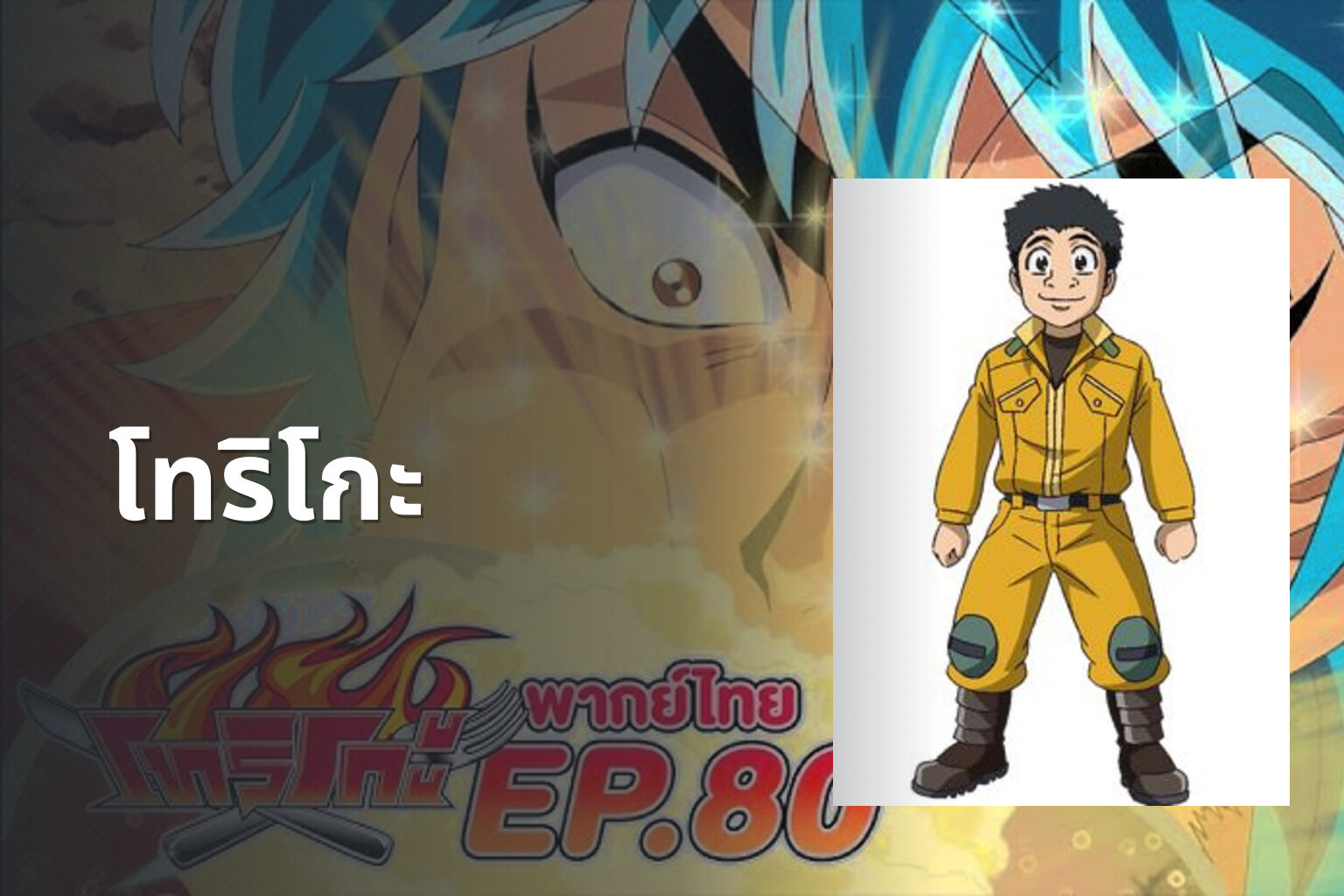 โทริโกะ - anime series