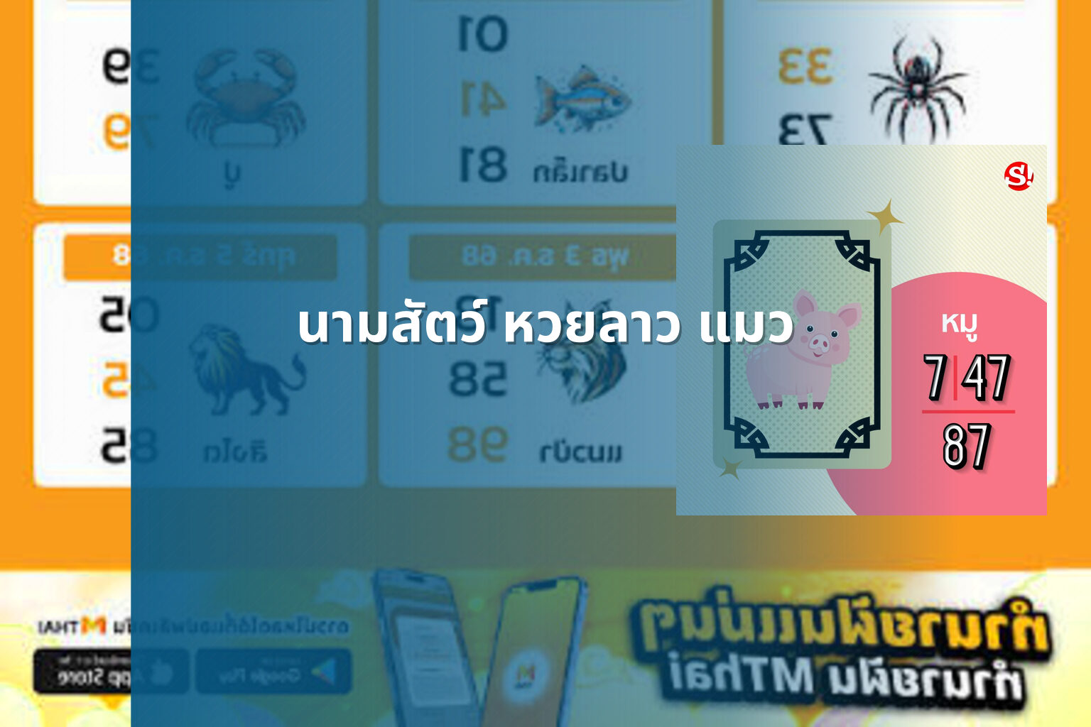 นามสัตว์ หวยลาว แมว - หวยลาว