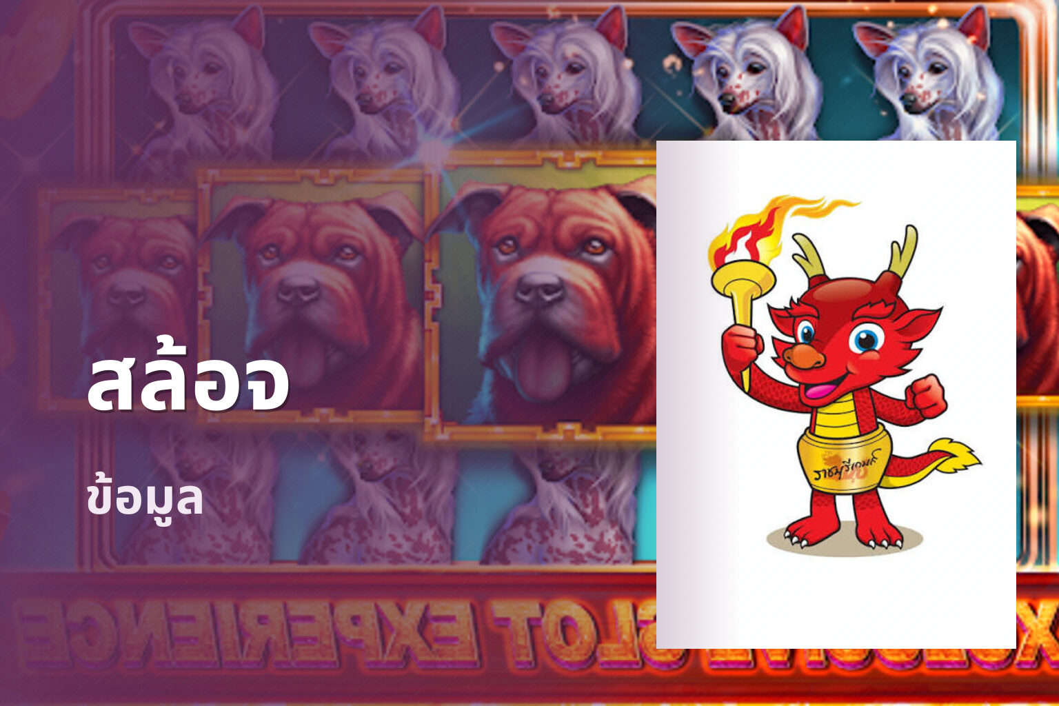 สล้อจ - online slot games