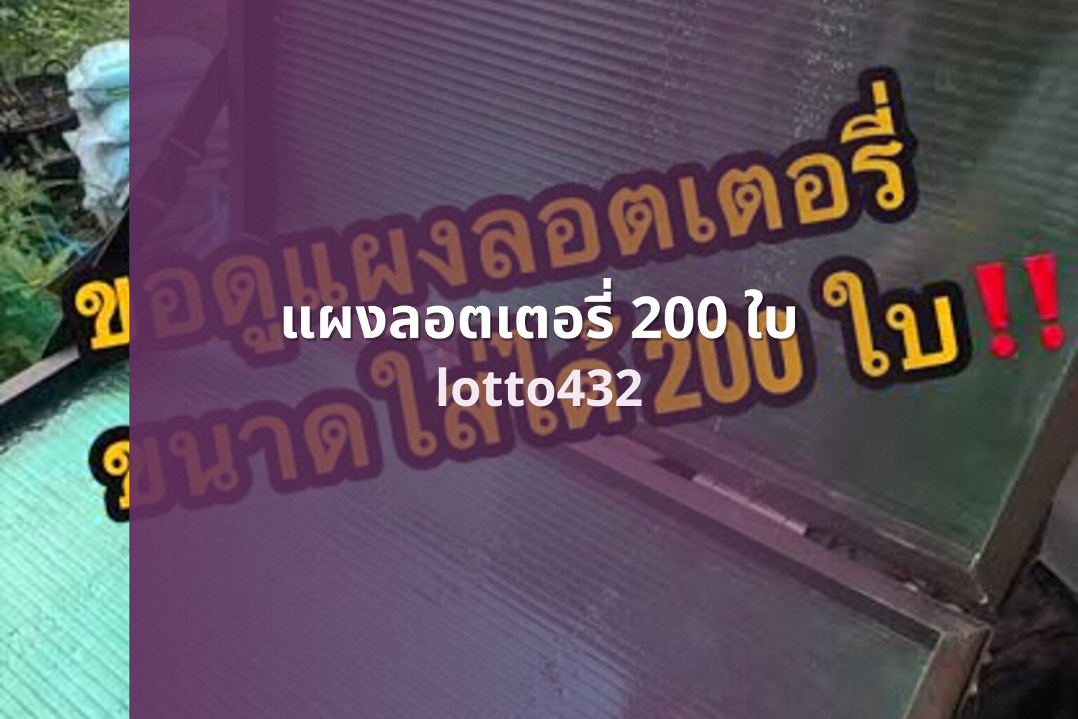 แผงลอตเตอรี่ 200 ใบ - 200 lottery tickets