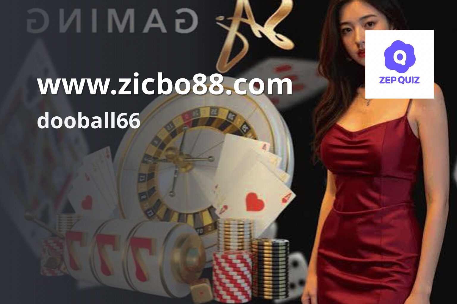 www.zicbo88.com dooball66