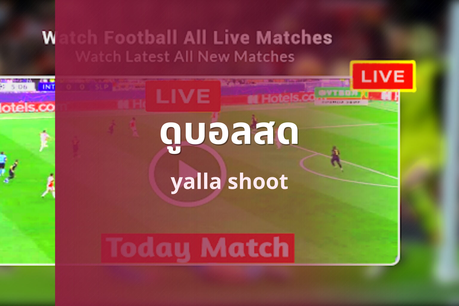 ดูบอลสด - live sports streaming